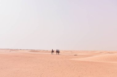 Tunus, Afrika'da Sahra Çölü'ne giden devekervanları. Touris