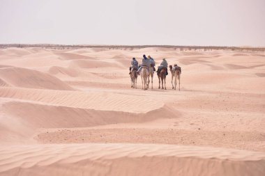 Tunus, Afrika'da Sahra Çölü'ne giden devekervanları. Touris