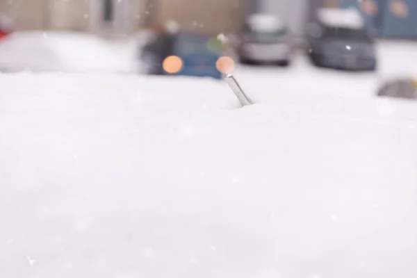 In the street side parked cars covered with snow. Car under snow