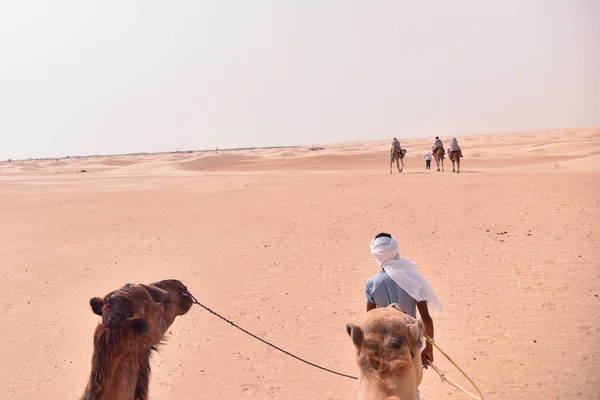 Caravane de chameaux allant dans le désert du Sahara en Tunisie, en Afrique. Touris — Photo