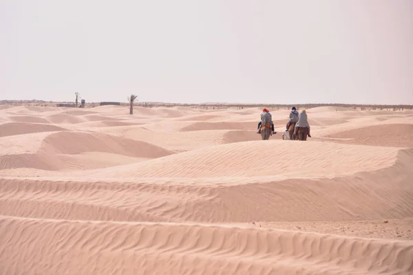 Kamele Karawane auf dem Weg in die Sahara Wüste in Tunesien, Afrika. Tourismus — Stockfoto