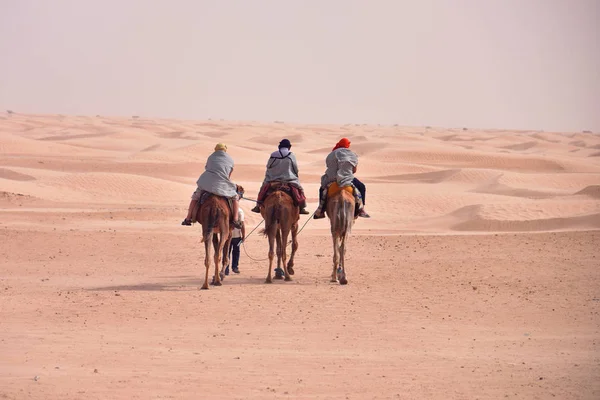 Camels karawana dzieje się na Saharze pustyni w Tunezji, Afryka. Touris — Zdjęcie stockowe