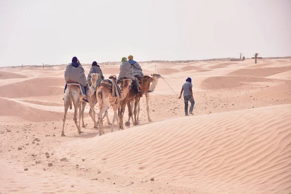 Caravana de camellos que va en el desierto del sahara en Túnez, África. Touris — Foto de Stock