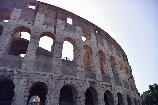 罗马， 意大利 - 2019年6月 - 罗马斗兽场。斗兽场是 — 图库照片