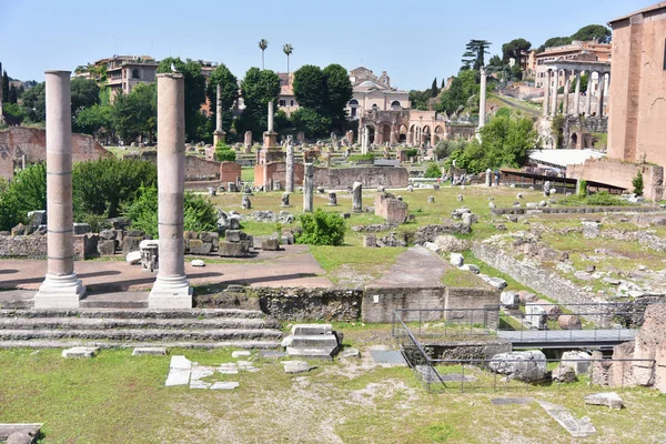 Roma, Italia - Junio 2019 - Coliseo en Roma. El coliseo es el m — Foto de Stock