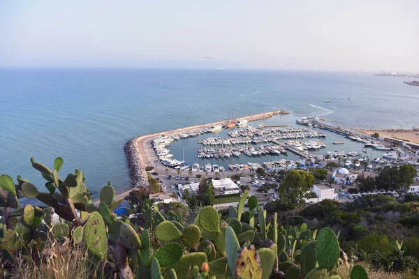 La pintoresca costa de Sidi Bou Said con el gran refugio, lleno —  Fotos de Stock
