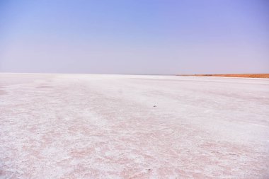 Degueche, Tn - Temmuz, 2019: Chott el Djerid, ayrıca Sciott yazıldığından 