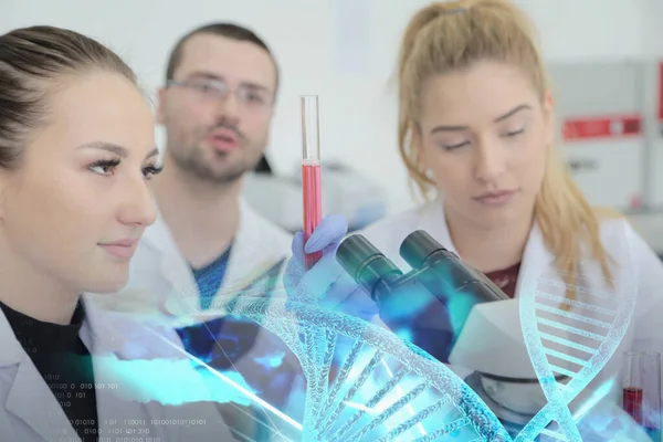 Grupo de jóvenes científicos de laboratorio que trabajan en el laboratorio con test tu — Foto de Stock