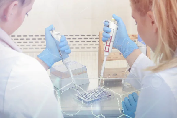 Laboratuvarda deney tüpleriyle çalışan iki genç bilim adamı... — Stok fotoğraf