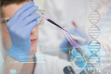 Laboratuvarda test tüpleriyle çalışan genç bir bilim adamı.
