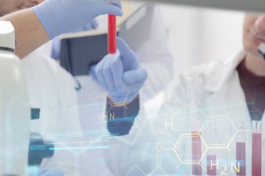 Laboratuvarda test tu ile çalışan bir grup genç bilim adamı.