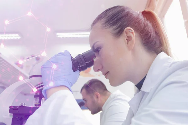 Due giovani scienziati di laboratorio che lavorano in laboratorio con provette a — Foto Stock