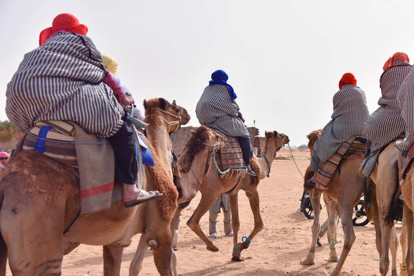 Cammelli carovana andando nel deserto del sahara in Tunisia, Africa. Turis — Foto Stock