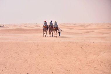 Tunus, Afrika'da Sahra Çölü'ne giden devekervanları. Touris