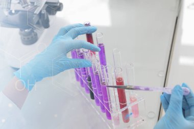 Laboratuvarda test tüpleriyle çalışan genç kadın laboratuvar bilim adamı.