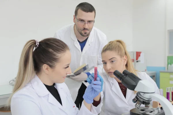 Gruppe junger Laboranten arbeitet im Labor mit Test tu — Stockfoto