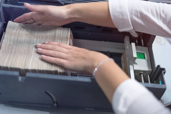 Bank employees sorting and counting money inside bank vault. Lar