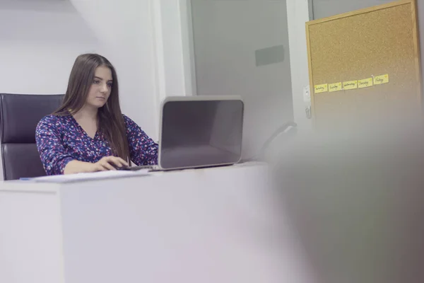 Businesswoman Working Alone On Laptop In her Office. Beautiful b