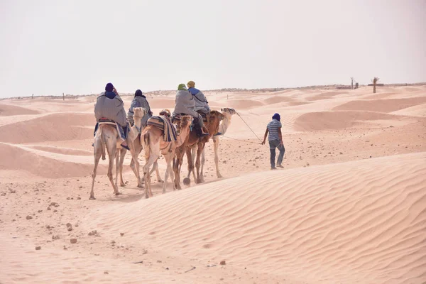 Camels karaván megy a Szahara sivatagban Tunézia, Afrika. Touris — Stock Fotó