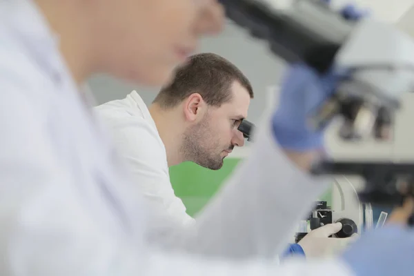 Dos jóvenes científicos de laboratorio que trabajan en el laboratorio con tubos de ensayo a — Foto de Stock