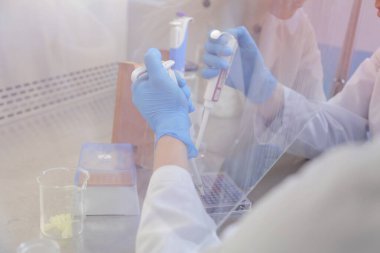 Laboratuvarda deney tüpleriyle çalışan iki genç bilim adamı...