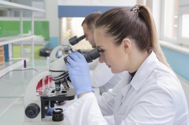 Laboratuvarda deney tüpleriyle çalışan iki genç bilim adamı...