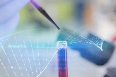 Laboratuvarda test tüpleriyle çalışan genç kadın laboratuvar bilim adamı.