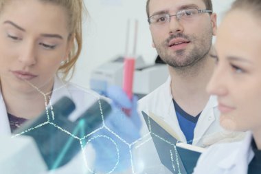 Laboratuvarda test tu ile çalışan bir grup genç bilim adamı.