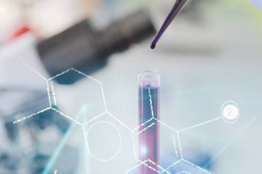 Laboratuvarda test tüpleriyle çalışan genç kadın laboratuvar bilim adamı.