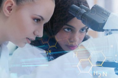 Laboratuvarda deney yapan çok ırklı iki genç kadın bilim adamı.