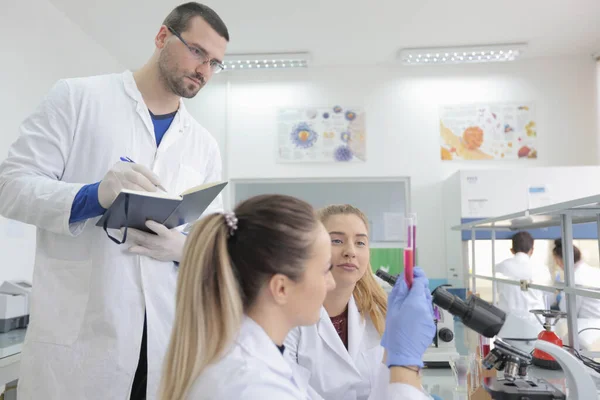 Groupe de jeunes scientifiques de laboratoire travaillant au laboratoire avec test tu — Photo