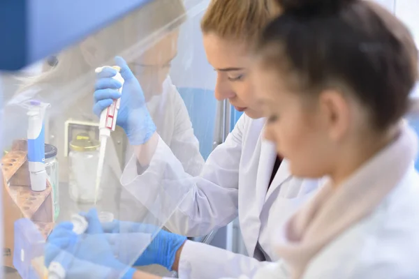 Две молодые женщины-лаборантки работают в лаборатории с тестовой t — стоковое фото