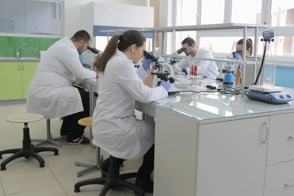 Grupo de jovens cientistas de laboratório que trabalham em laboratório com teste tu — Fotografia de Stock