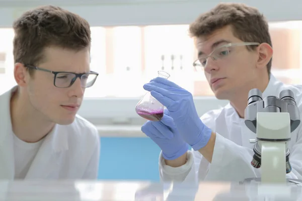Δύο νέοι επιστήμονες εργαστηρίου που εργάζονται στο εργαστήριο με test tu — Φωτογραφία Αρχείου