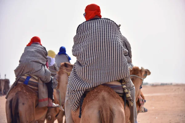 Cammelli carovana andando nel deserto del sahara in Tunisia, Africa. Turis — Foto Stock