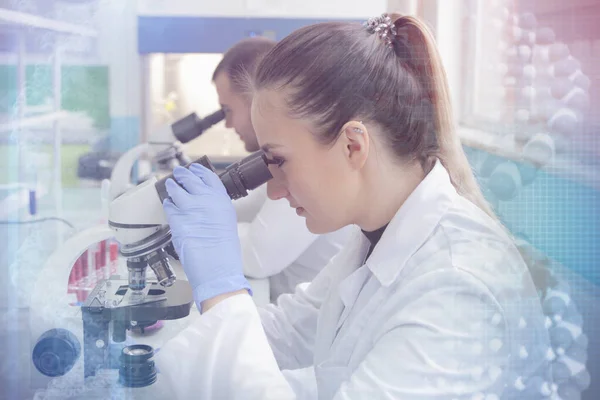 Dois jovens cientistas de laboratório que trabalham em laboratório com tubos de ensaio a — Fotografia de Stock