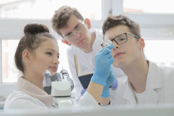 테스트 투를 사용하여 실험실에서 일하는 젊은 실험실 과학자들의 그룹 — 스톡 사진
