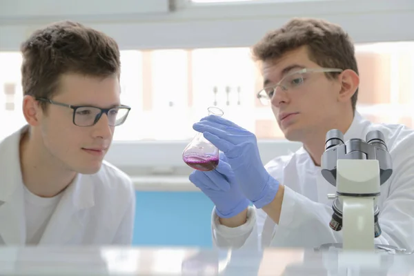 Dos jóvenes científicos de laboratorio trabajando en el laboratorio con test tu —  Fotos de Stock
