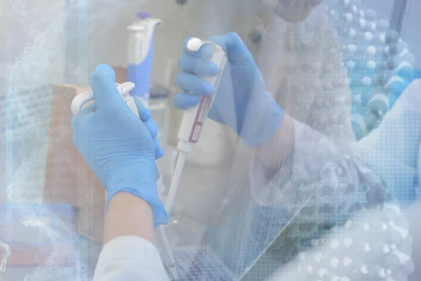 Dos jóvenes científicos de laboratorio que trabajan en el laboratorio con tubos de ensayo a —  Fotos de Stock