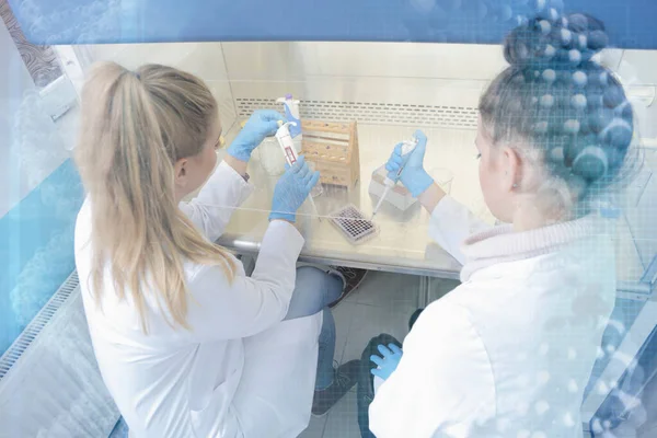 Dwie młode kobiety Laboratorium naukowców pracujących w laboratorium z testami — Zdjęcie stockowe