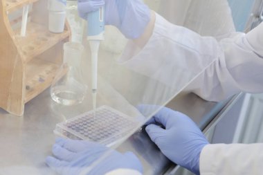 Laboratuvarda test için çalışan iki genç kadın bilim adamı. 