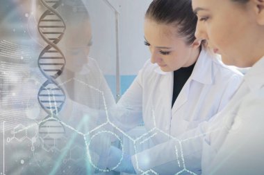 Laboratuvarda test için çalışan iki genç kadın bilim adamı. 