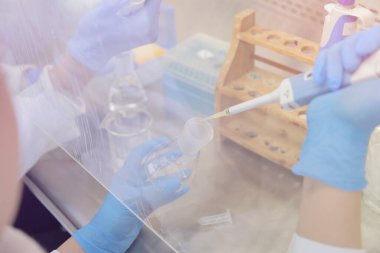 Laboratuvarda deney tüpleriyle çalışan iki genç bilim adamı...