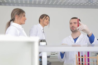 Laboratuvarda test tu ile çalışan bir grup genç bilim adamı.