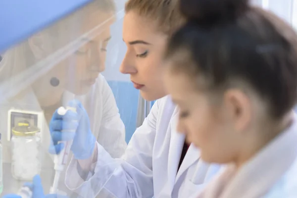 Laboratuvarda test için çalışan iki genç kadın bilim adamı. — Stok fotoğraf