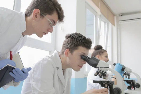 Группа молодых лабораторных ученых, работающих в лаборатории с тестом tu — стоковое фото