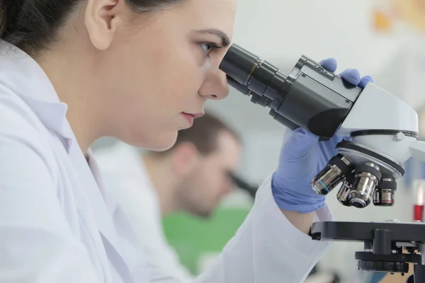 Dos jóvenes científicos de laboratorio que trabajan en el laboratorio con tubos de ensayo a — Foto de Stock