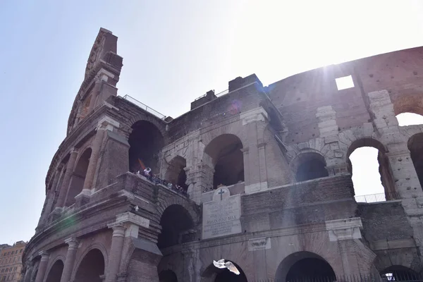 Rome, Olaszország-June 2019-római Colosseum. Colosseum az m — Stock Fotó