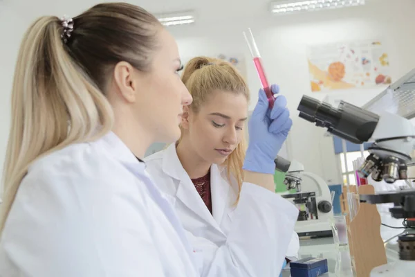 Twee jonge laboratoriumwetenschappers werken in het lab met reageerbuisjes a — Stockfoto