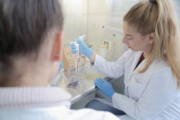 실험실에서 테스트 튜브를 가지고 일하는두 젊은 실험실 과학자는 — 스톡 사진